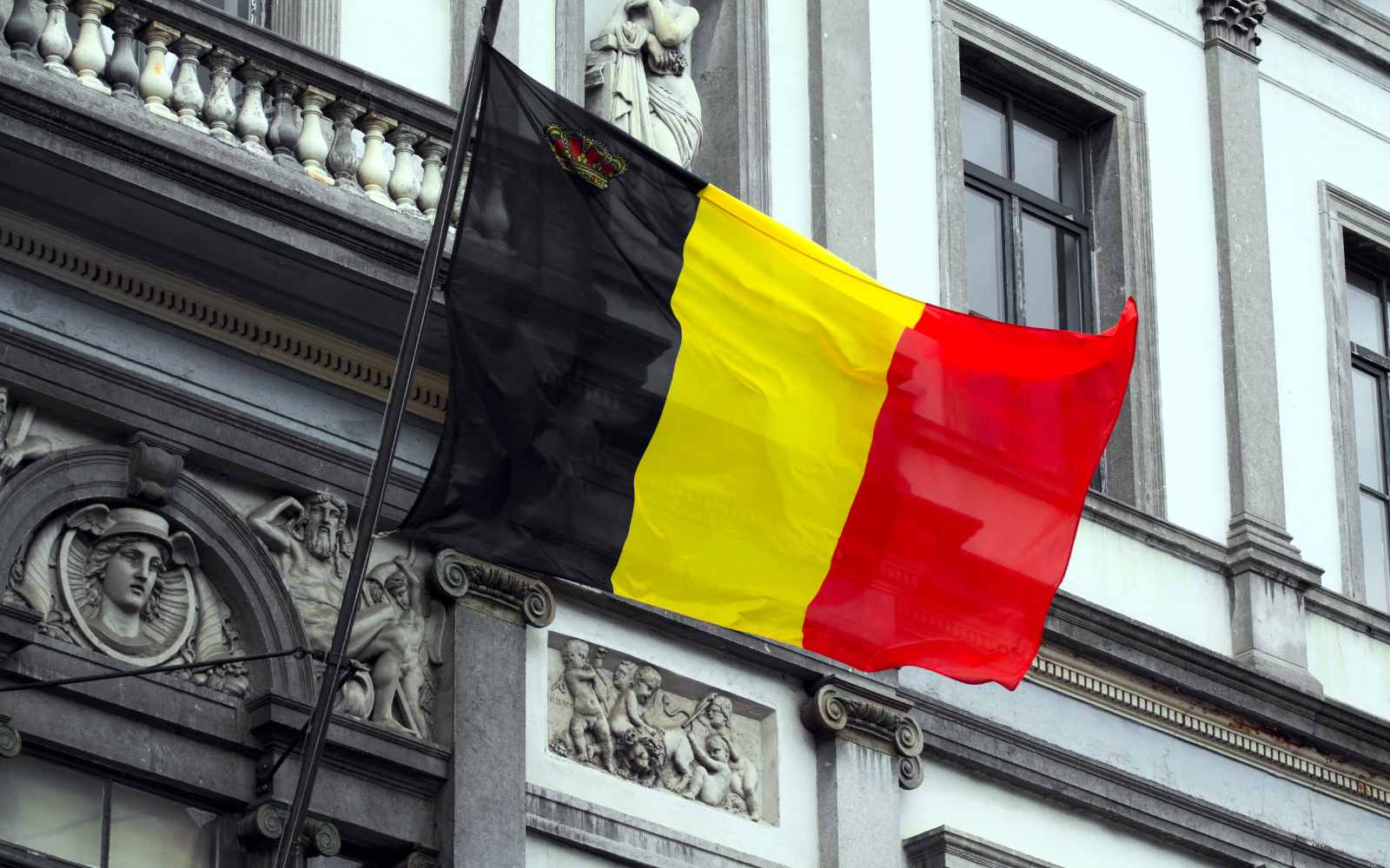 Flaga Belgii — busy Pik-Trans z Zachodniopomorskiego do Belgii